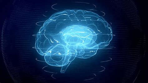 brain waves gif|brain rotating gif.